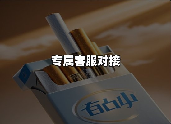 专业优势